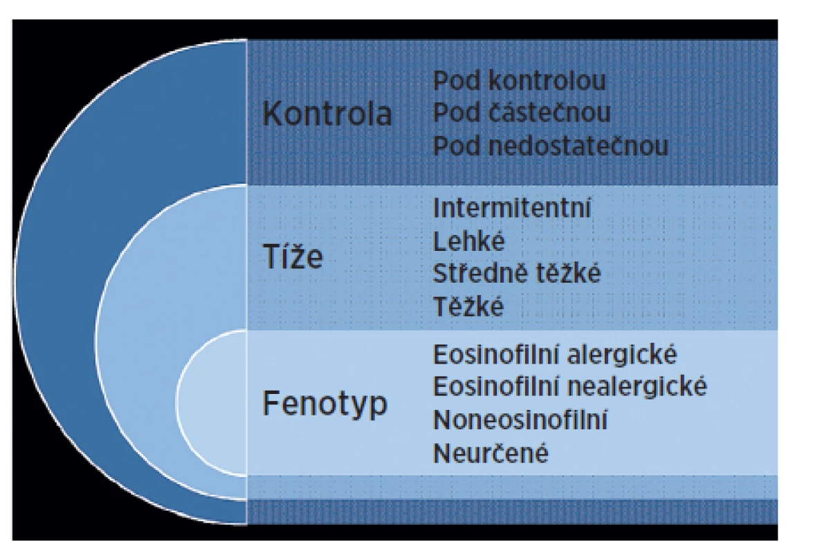 Multifunkční klasifikace astmatu (dle Kašáka a Teřla [8])