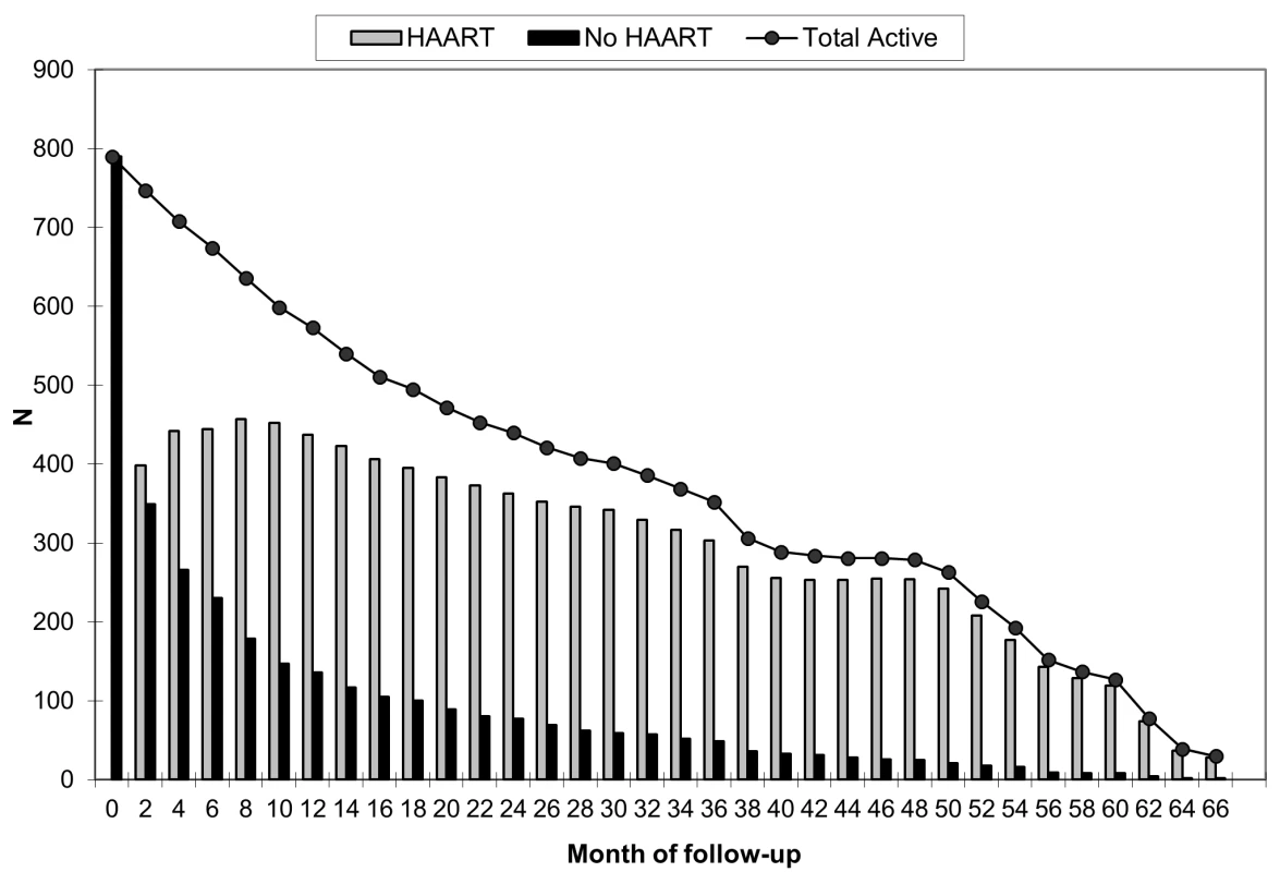 Number of active children by month of follow-up and HAART status.