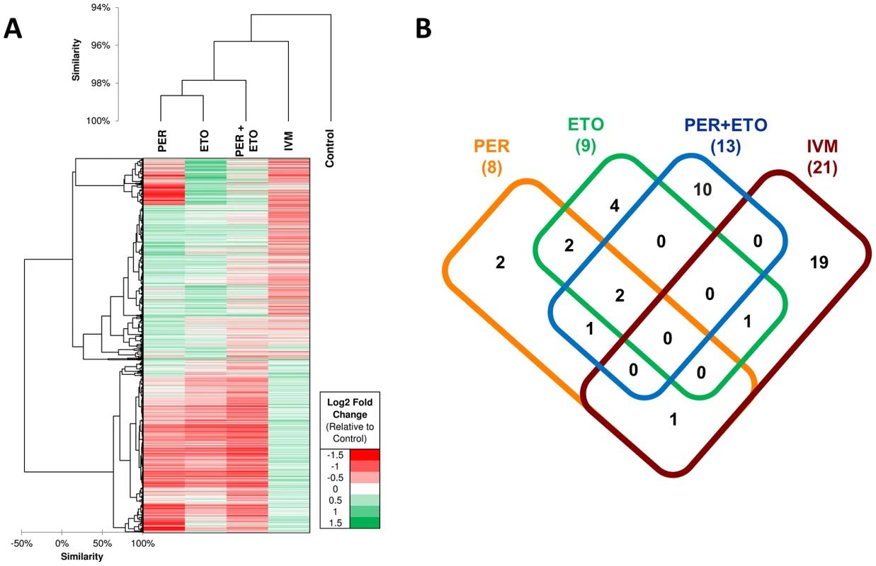 Transcriptional response of <i>C. elegans</i> in the presence of Perhexiline (PER), Etomoxir (ETO) and Ivermectin (IVM).