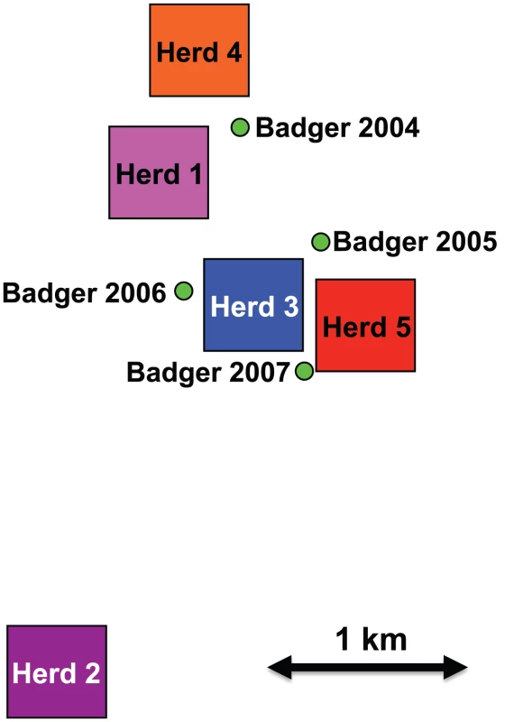 Main holdings associated with herds in the dataset and badger locations by year.