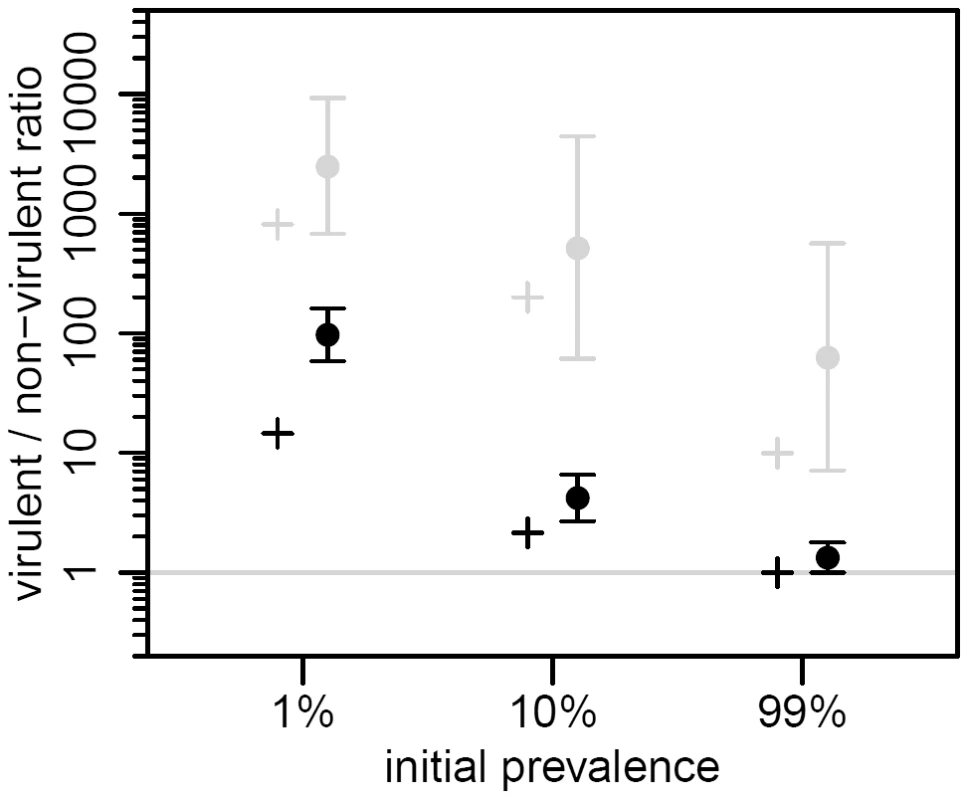 Effect of initial prevalence on transient virulence evolution, in the two life stages of the virus.