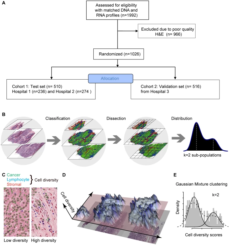 In silico tumor dissection pipeline for quantifying spatial diversity in the tumor ecosystem.
