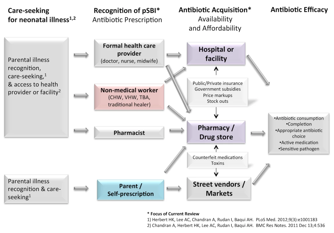 Conceptual model of access to antibiotics for newborns with infection.