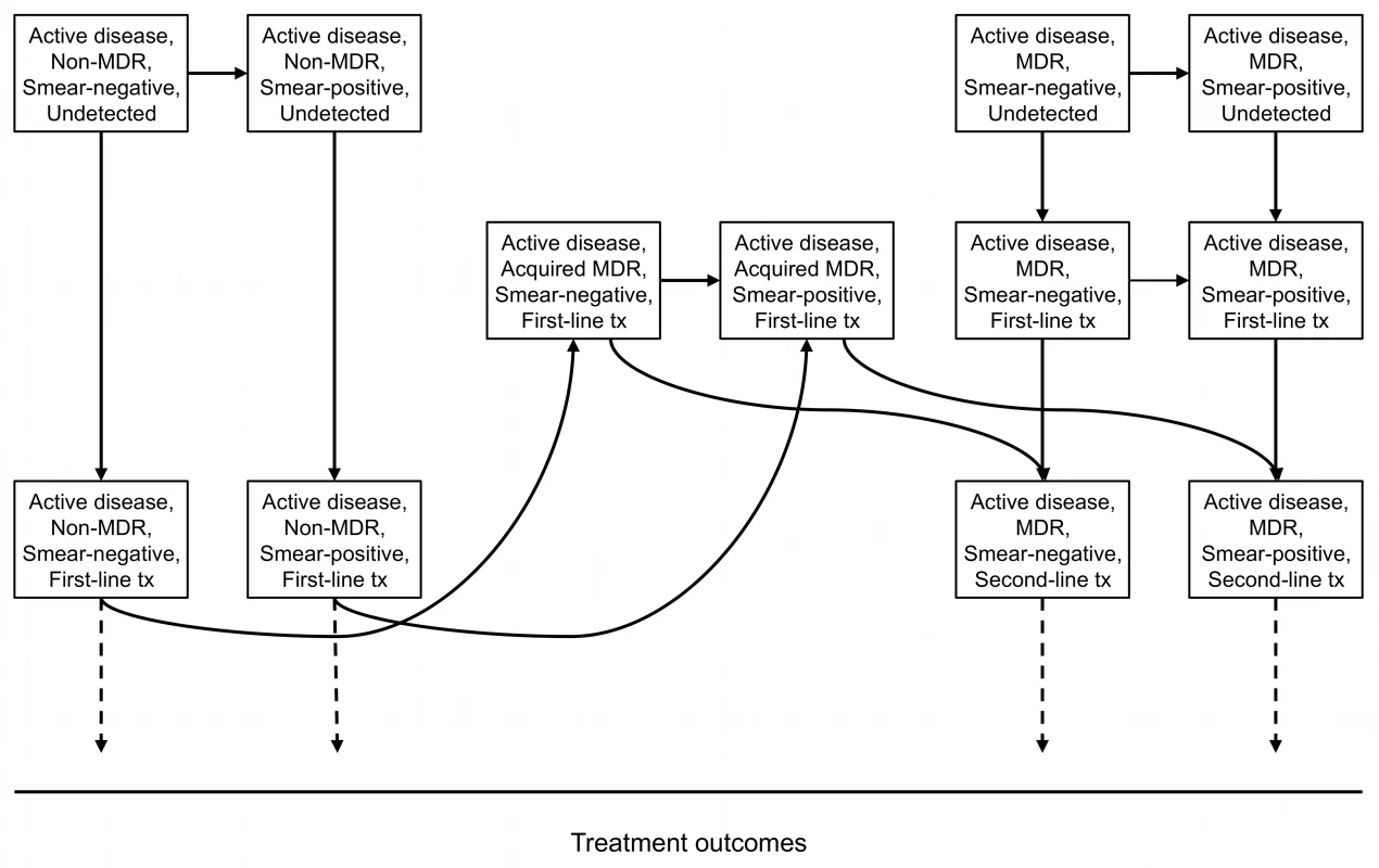 Diagnosis of non-MDR-TB and MDR-TB and the development of acquired (treatment-associated) MDR-TB.