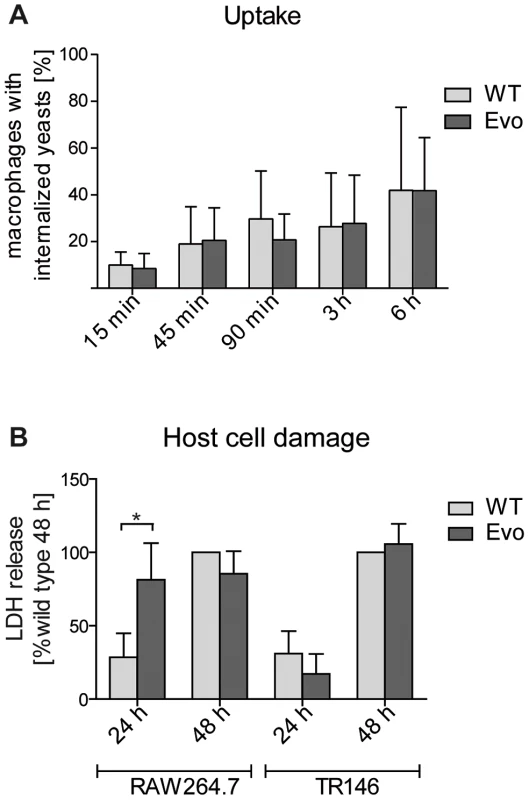 Microevolutionary adaptation results in altered host-pathogen interactions.