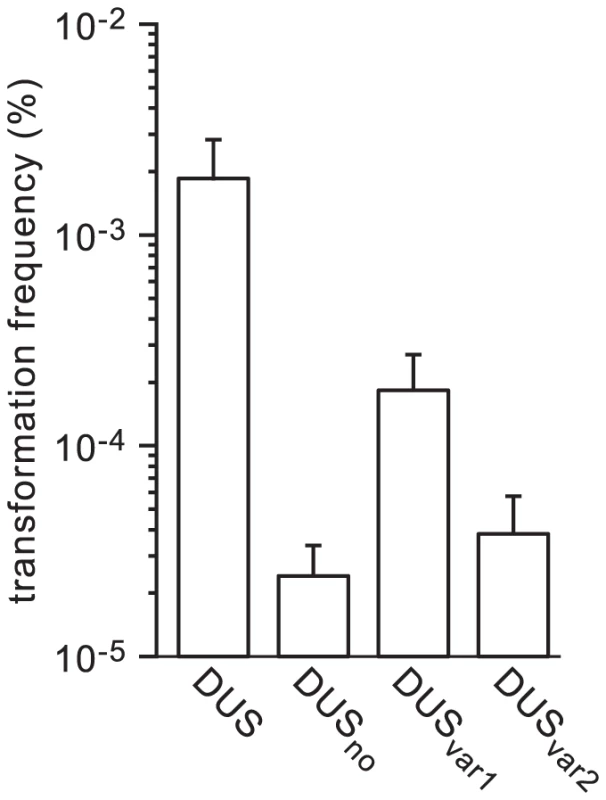Naturally occuring DUS variants in human <i>Neisseria</i> commensals are impaired for enhancement of transformation in <i>N. meningitidis</i>.