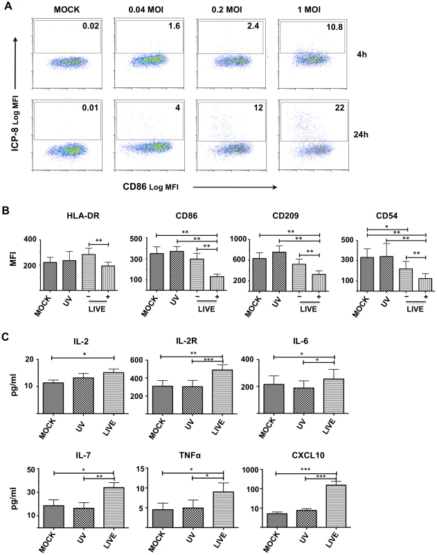Low level HSV-2 infection modulates DC function.