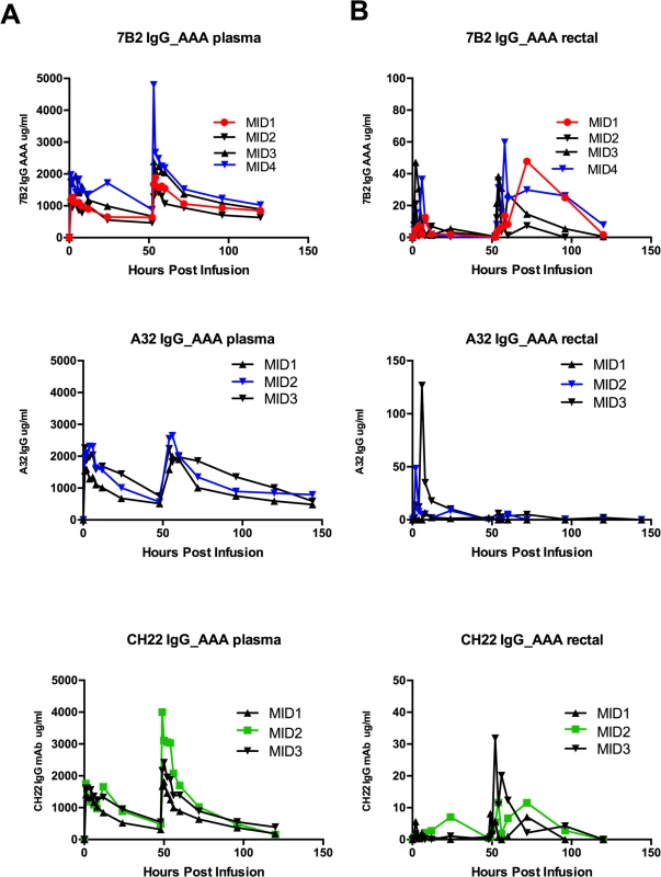 7B2 IgG1_AAA, A32 IgG1_AAA and CH22 IgG1_AAA mAb concentrations in (A) plasma and (B) rectal secretions.