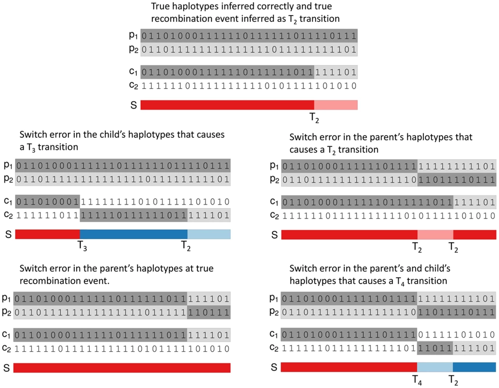 Examples of inferred haplotypes with true recombination events and SEs.