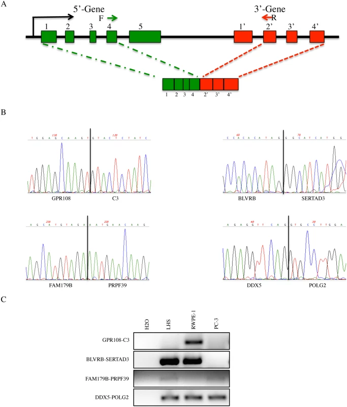 Identification of novel cis-SAGe candidate events.