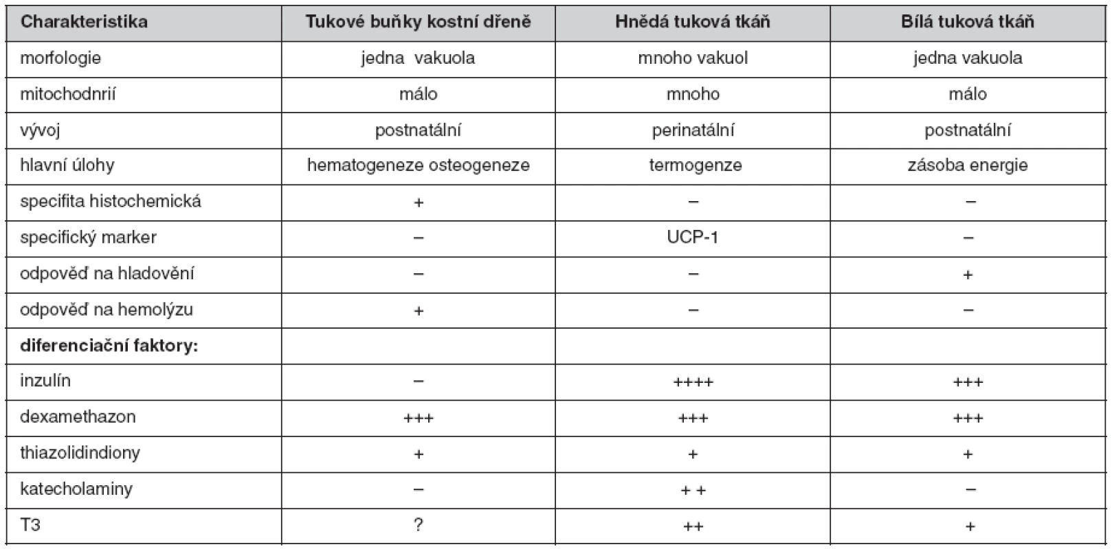 Fyziologické rozdíly mezi jednotlivými typy tukové tkáně (6)