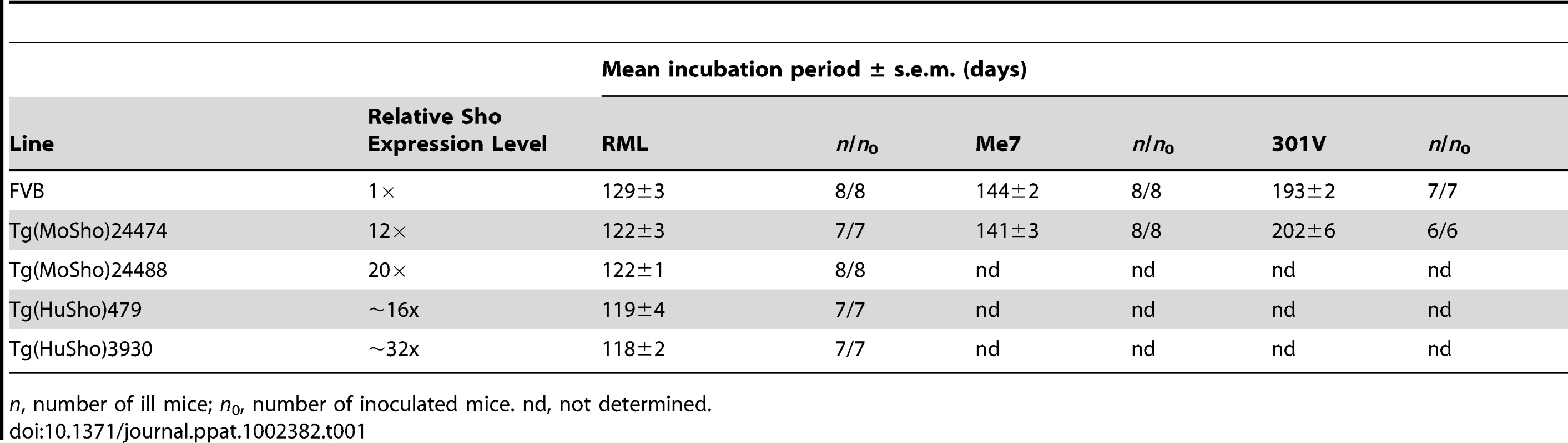 Incubation periods in Tg(Sho) mice following inoculation with different prion strains.