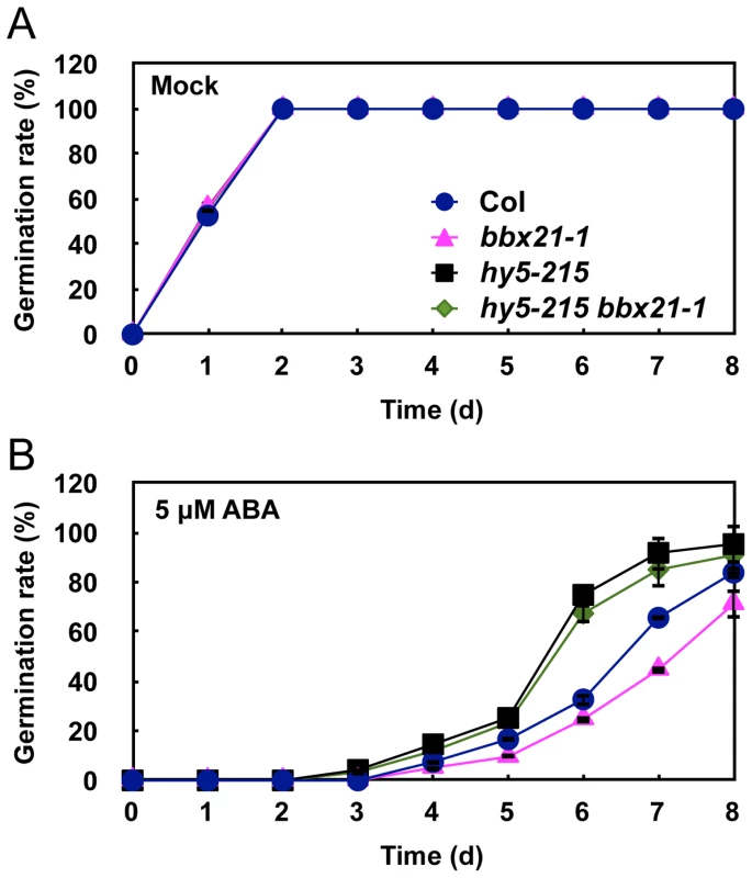 The <i>hy5 bbx21</i> mutants are insensitive to ABA during germination.