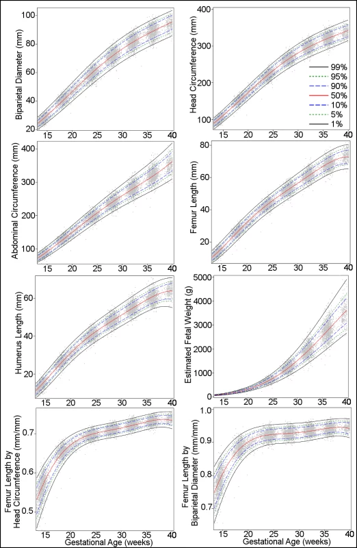 Percentiles for biparietal (outer–inner) diameter, head circumference, abdominal circumference, femur length, humerus length, estimated fetal weight, femur length/head circumference ratio, and femur length/biparietal diameter ratio during gestational weeks 14–40.
