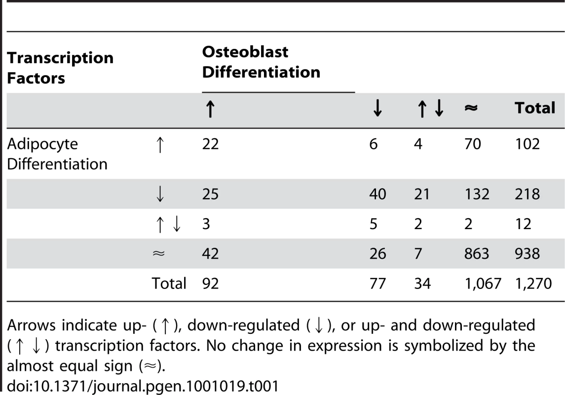 Expression behavior of 1,270 transcription factors selected from all mouse genes (Ensembl release 52) based on GO IDs (<em class=&quot;ref&quot;>Table 3</em>) during osteoblast and adipocyte differentiation.