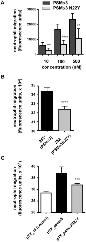 PSMα3N22Y has decreased chemotactic activity toward human neutrophils.