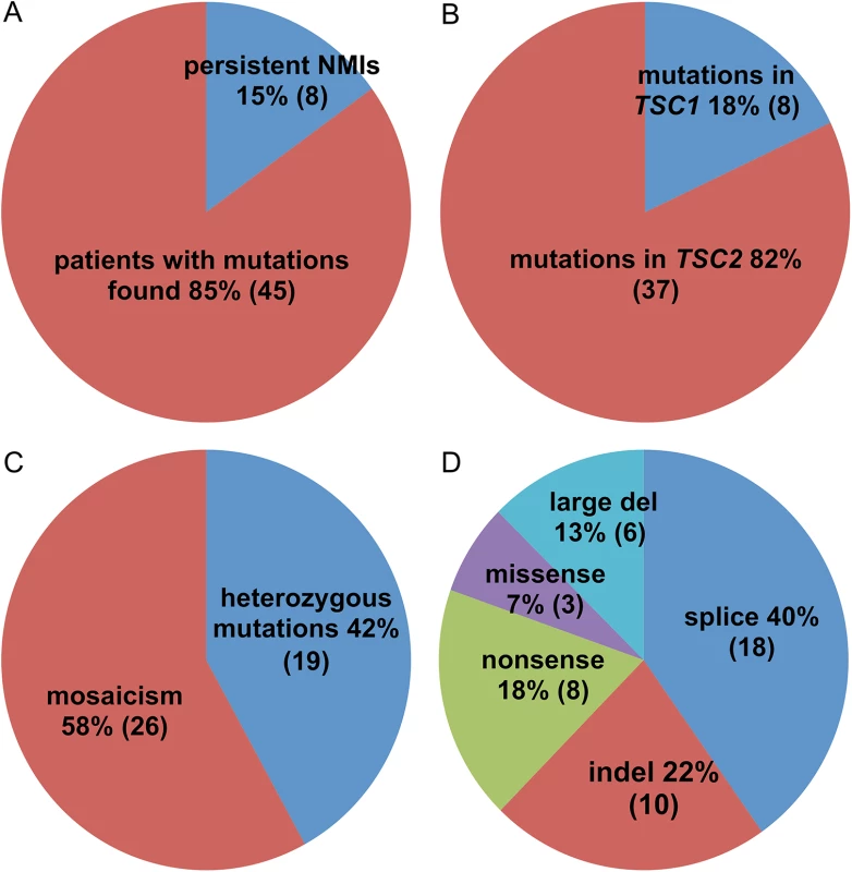 Pie charts displaying the mutation types and frequencies in 53 TSC NMI subjects.