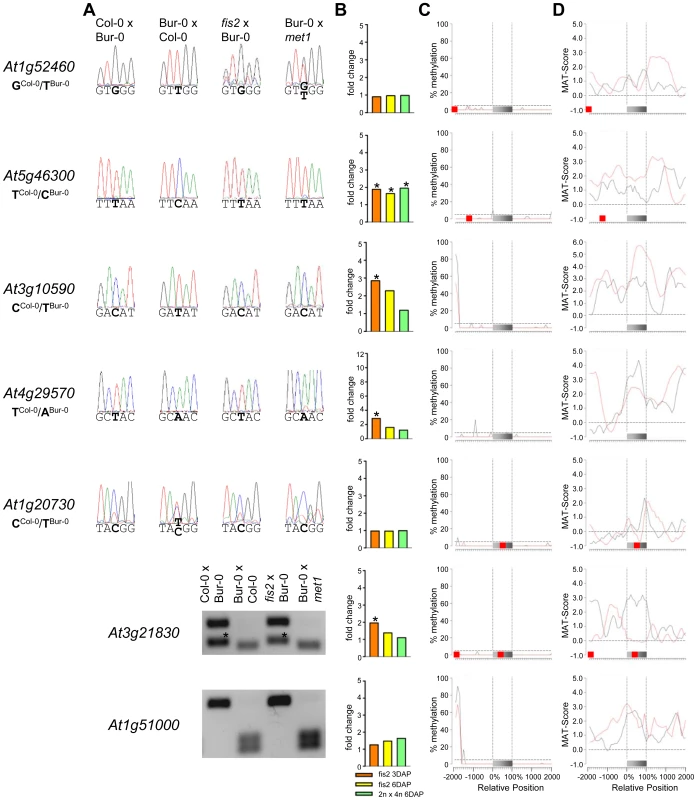 Impact of DNA Methylation and FIS PcG Function on the Regulation of Confirmed MEGs without Prominent Genic CG DNA Methylation.