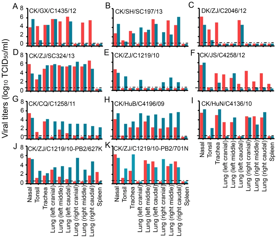 Replication of H9N2 viruses in ferrets.