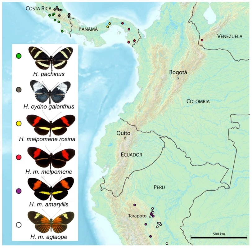 Locations of field collected samples used for population genetic analysis.