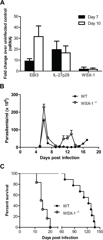 Enhanced expression of IL-27 and its crucial role in survival of mice infected with <i>T</i>. <i>congolense</i>.