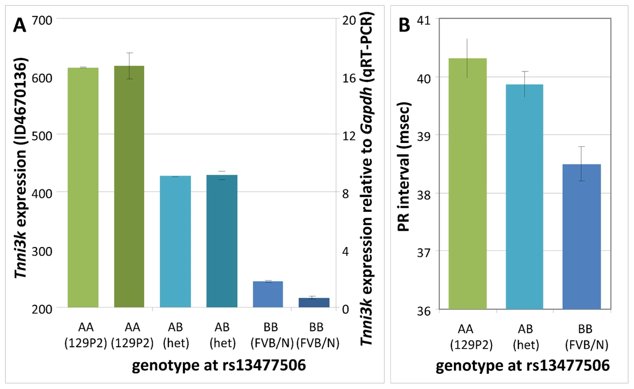 Genotype effects at rs13477506.