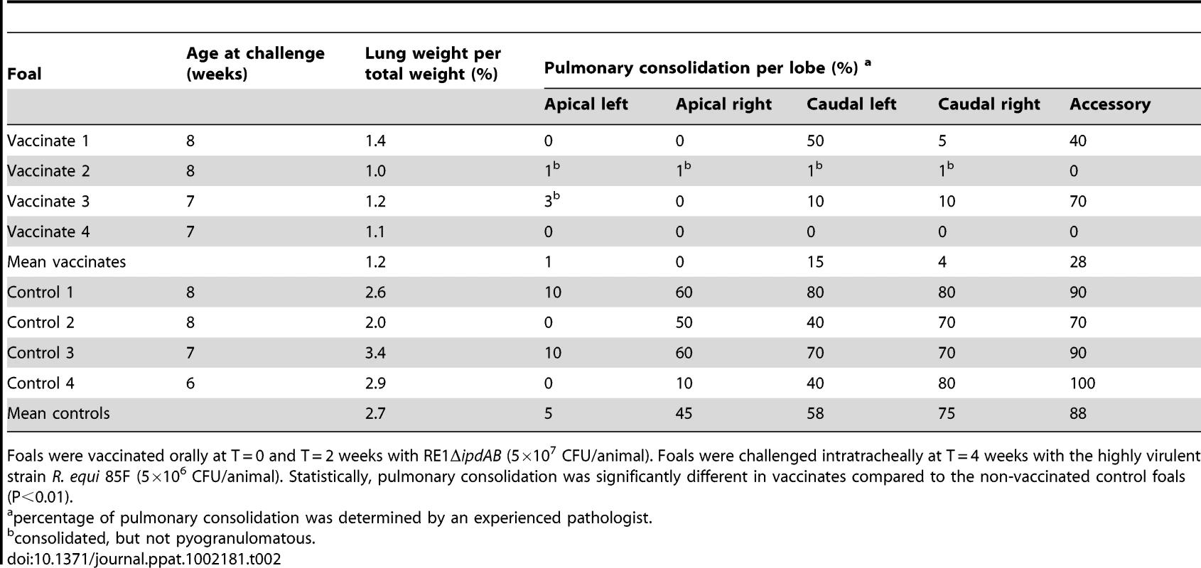 Lung weights and percentage pulmonary consolidation per lobe of vaccinated and unvaccinated (control) 2 to 4-week-old foals (n = 4).