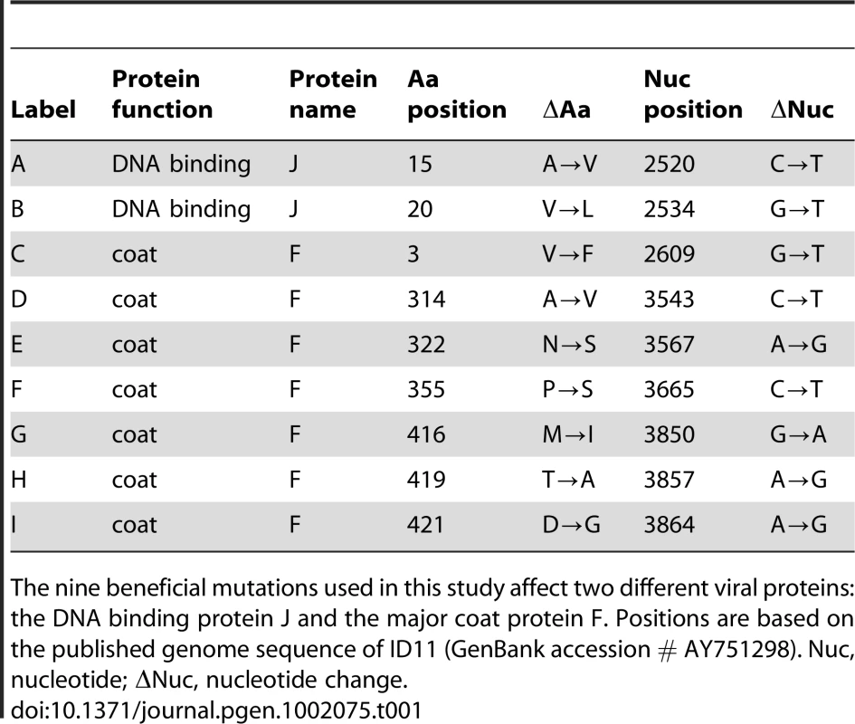 Nine mutations beneficial to the ssDNA bacteriophage ID11.