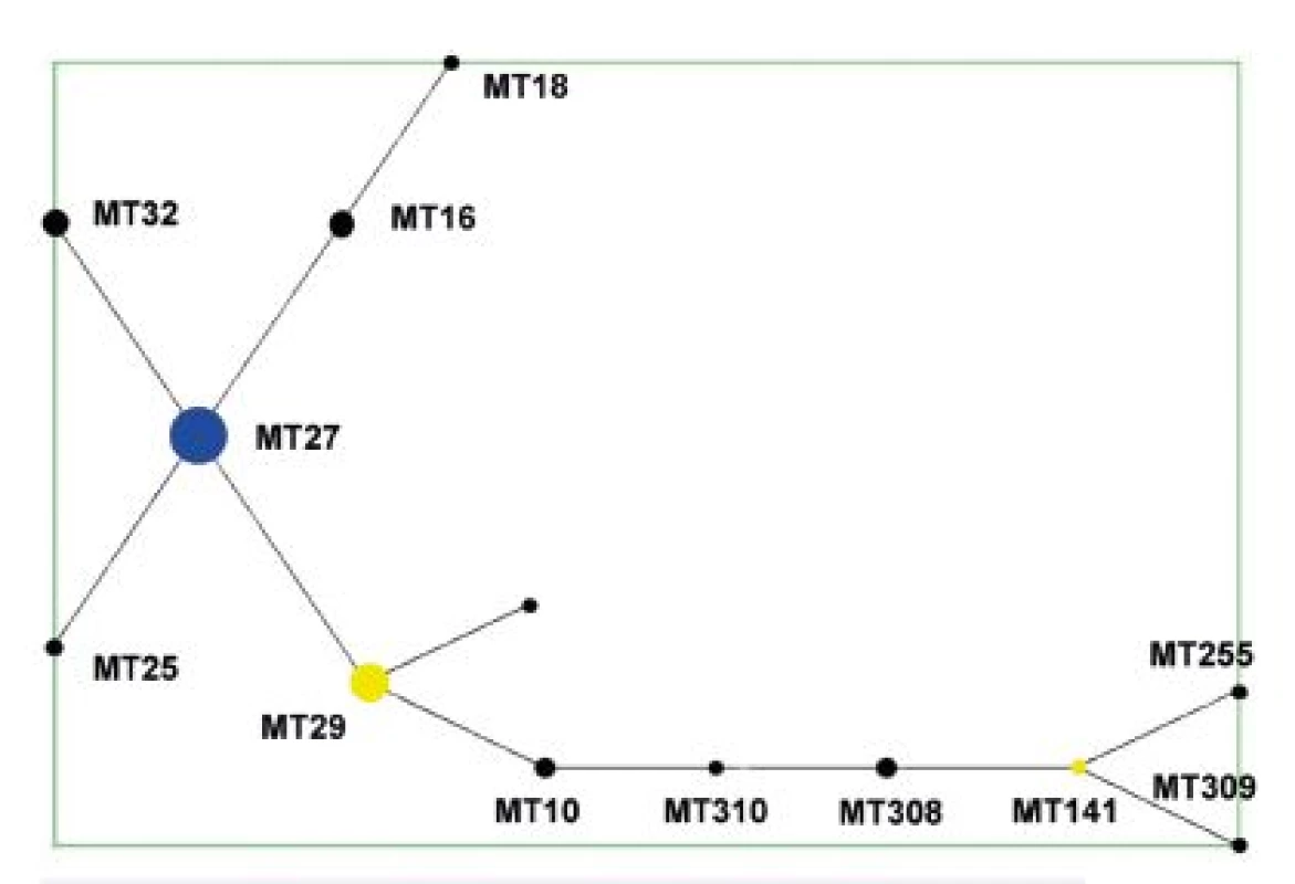 Diagram eBURST, MLVA analýza kmenů <i>B. pertussis,</i> ČR, 1967–2015 (červen) 
Figure 1. eBURST diagram, MLVA analysis of <i>B. pertussis</i> strain collection, Czech Republic, 1967–2015 (June)