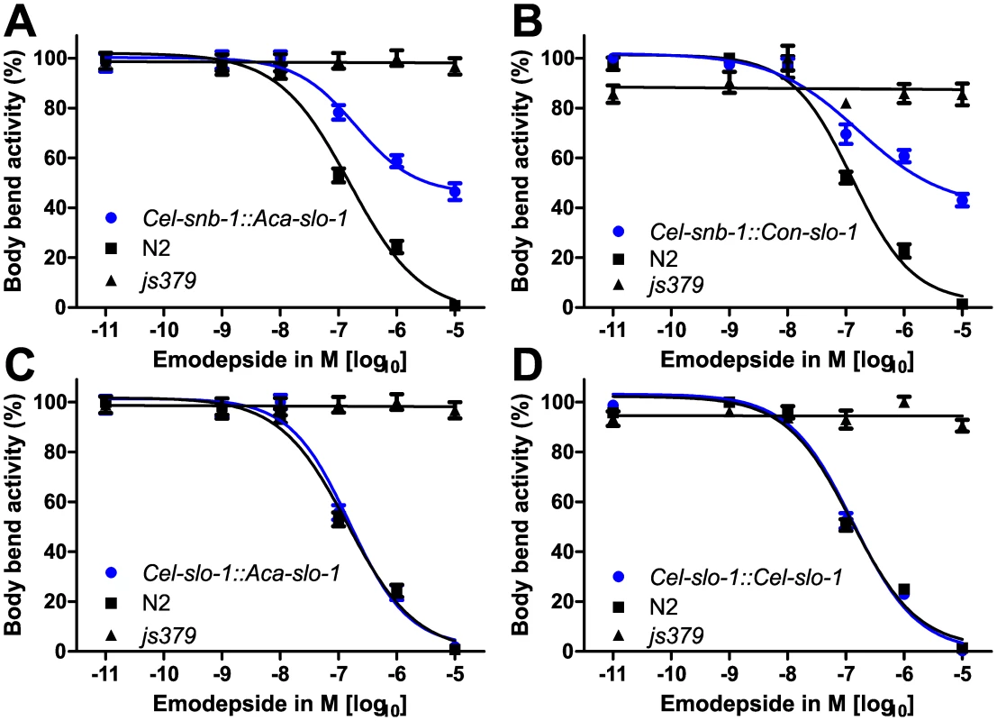 Parasite SLO-1 expressed from <i>C. elegans</i> promoters recover emodepside susceptibility in resistant <i>slo-1</i> loss-of-function mutants.