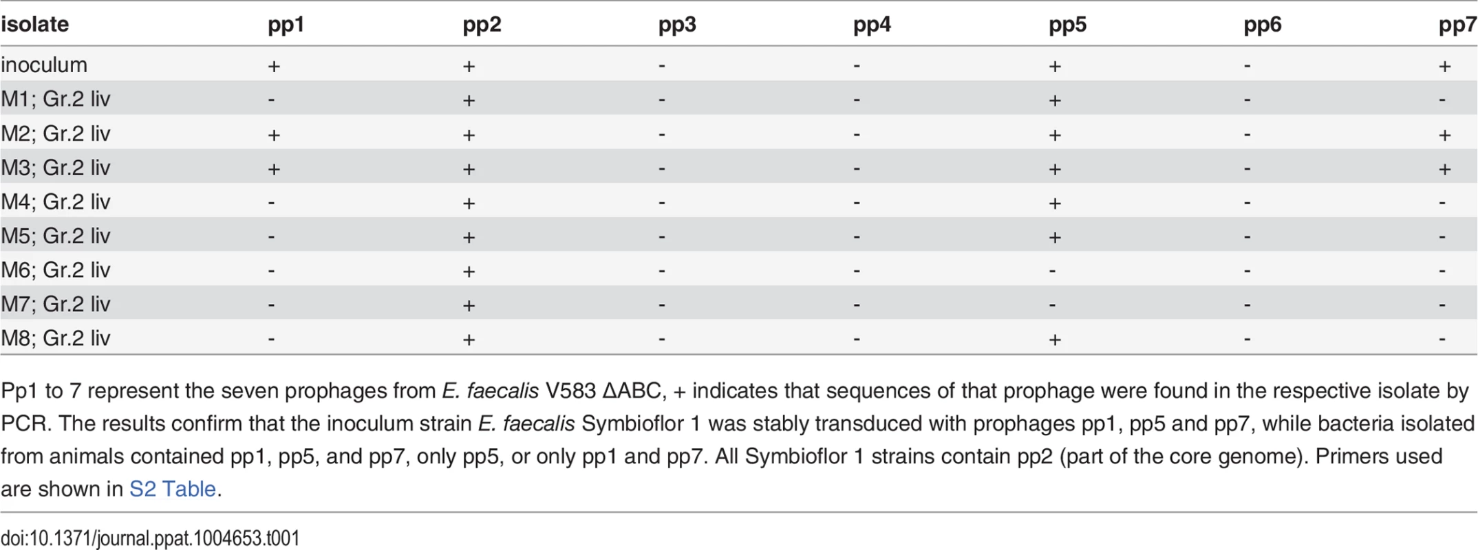 PCR results validating the presence or absence of phage sequences in the original <i>E. faecalis</i> Symbioflor 1, polylysogenic Symbioflor 1, and bacterial isolates from animals infected with polylysogenic Symbioflor 1.