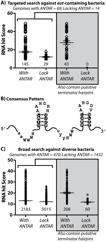 Bioinformatic analysis of the ANTAR domain and its two stem-loop RNA substrate.