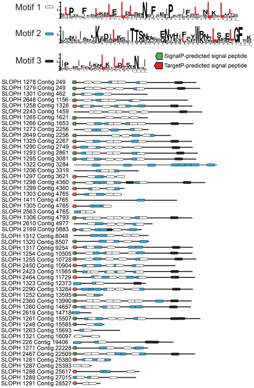 An expanded family of 52 complete leucine-rich repeat proteins in the <i>S. lophii</i> genome.
