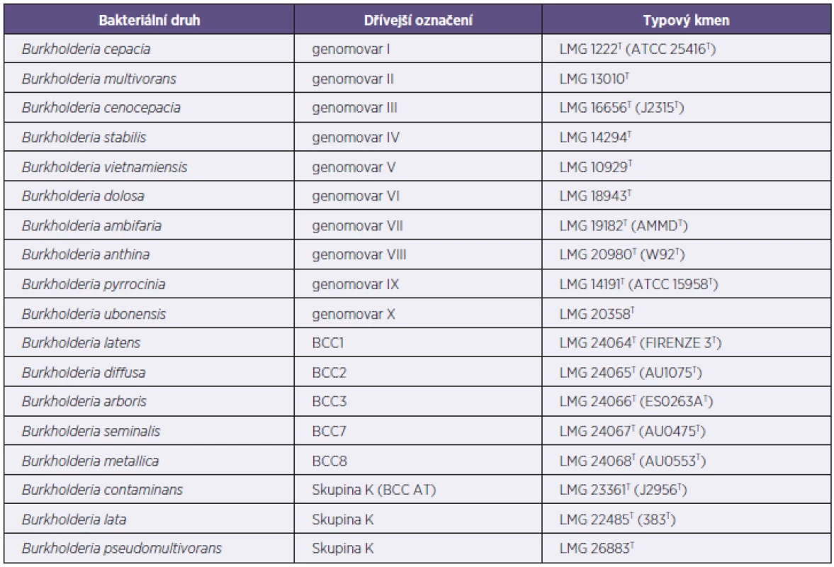 Současná taxonomie komplexu B. cepacia
Tabulka 2. Current taxatomy of the BCC