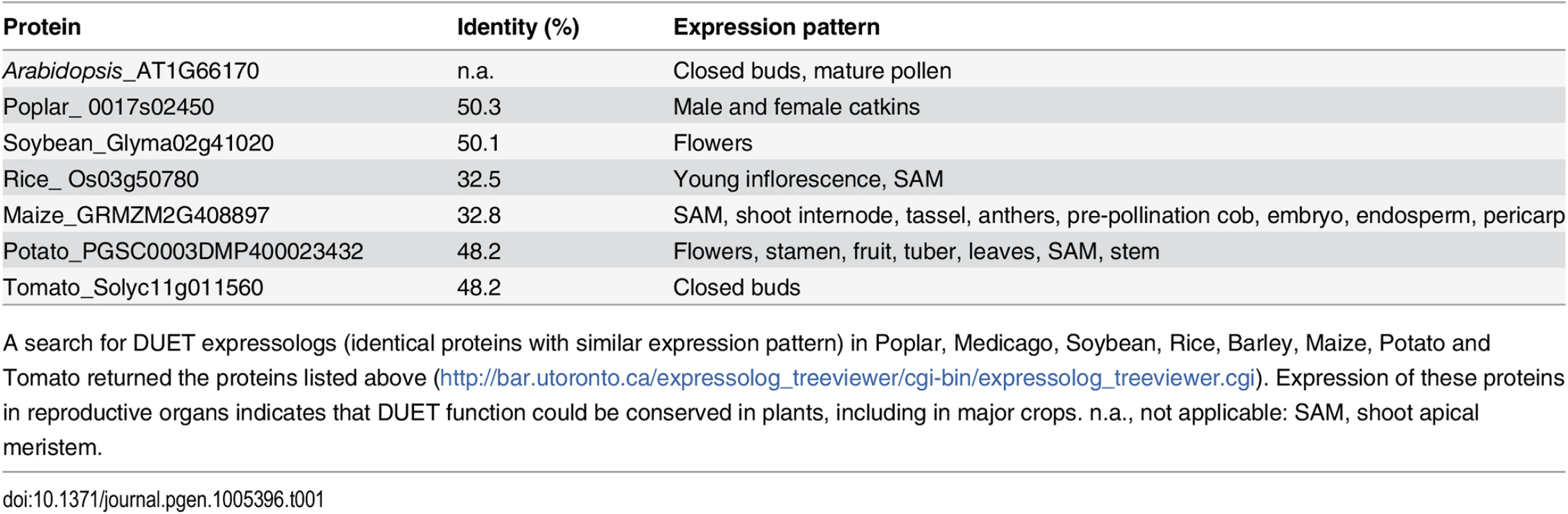 Identification of DUET expressologs.