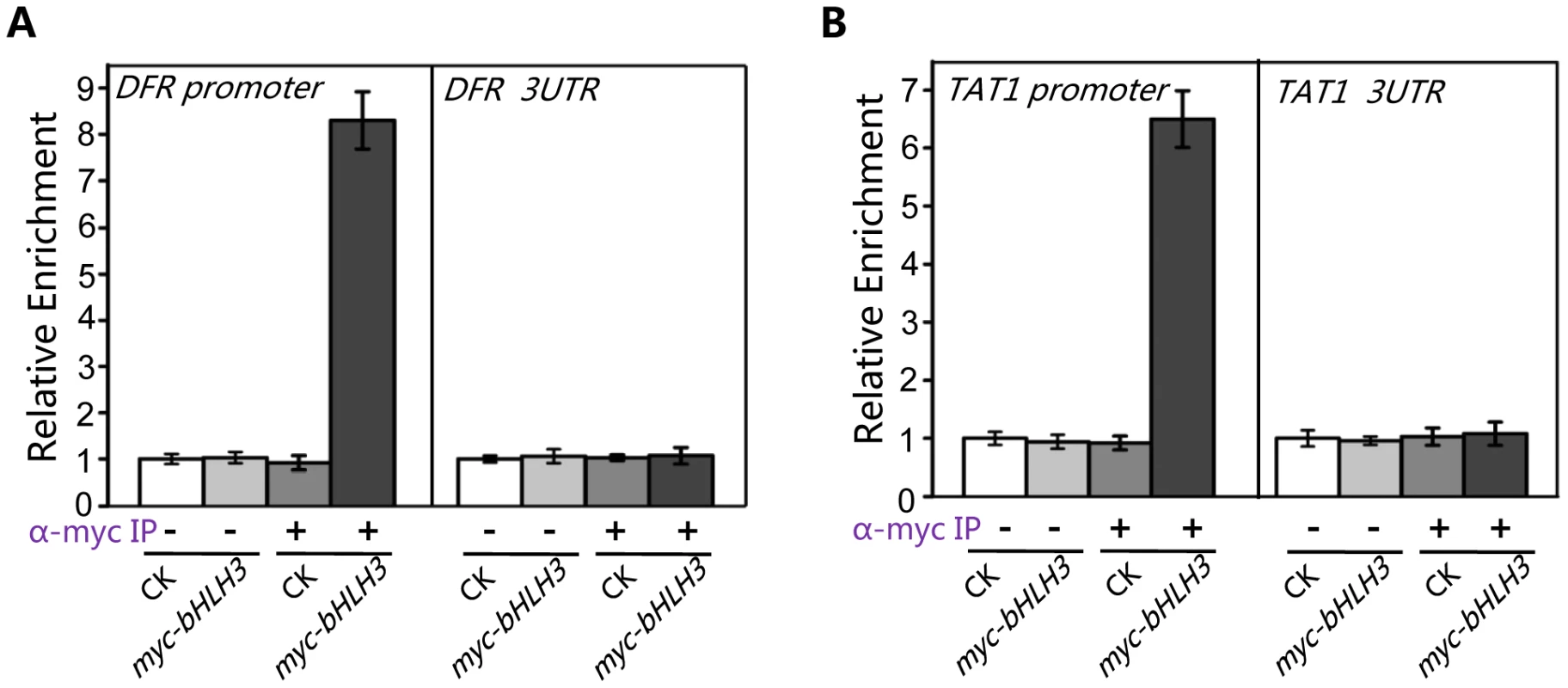 bHLH3 directly binds to promoter sequences of <i>TAT1</i> and <i>DFR</i> in ChIP-PCR assay.