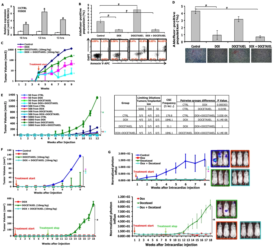 mir-93 inhibits tumor growth and metastasis by decreasing CSCs in SUM159 cells.