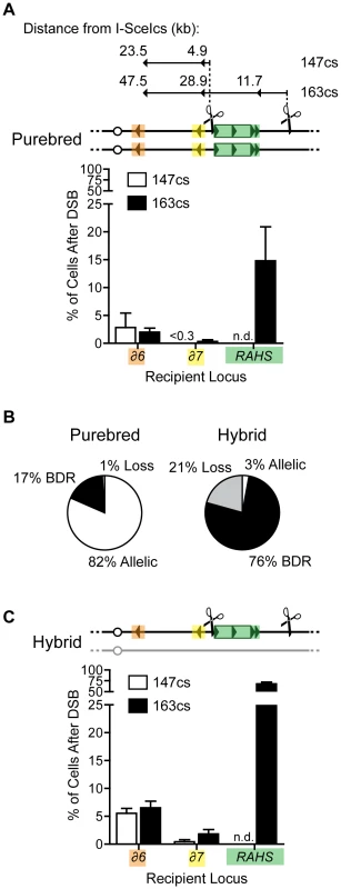 Recipient competition: Ty elements distal from DSB mediate break-distal recombination (BDR) and compete with AHR.