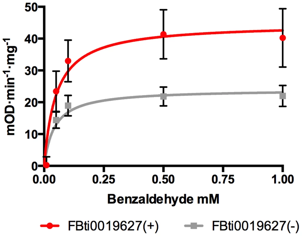 Flies with <i>FBti0019627</i> insertion show increased <i>ALDH-III</i> activity.
