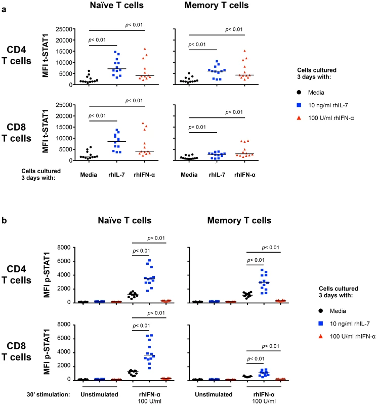 <i>In vitro</i> culture with IL-7 increases IFN-α-induced STAT1 activation (p-STAT1).
