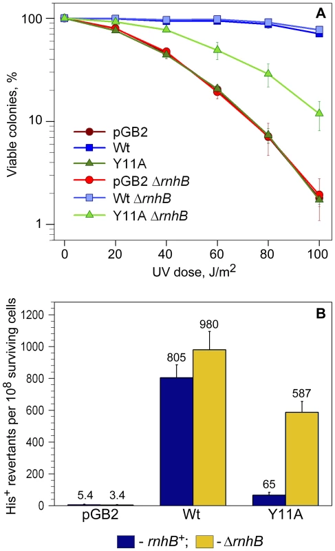 Quantitative UV survival and mutagenesis assays.