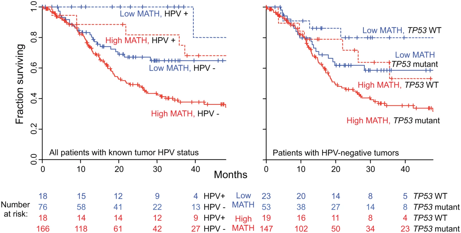 Combined relation of MATH and HPV or <i>TP53</i> mutation status to overall survival.
