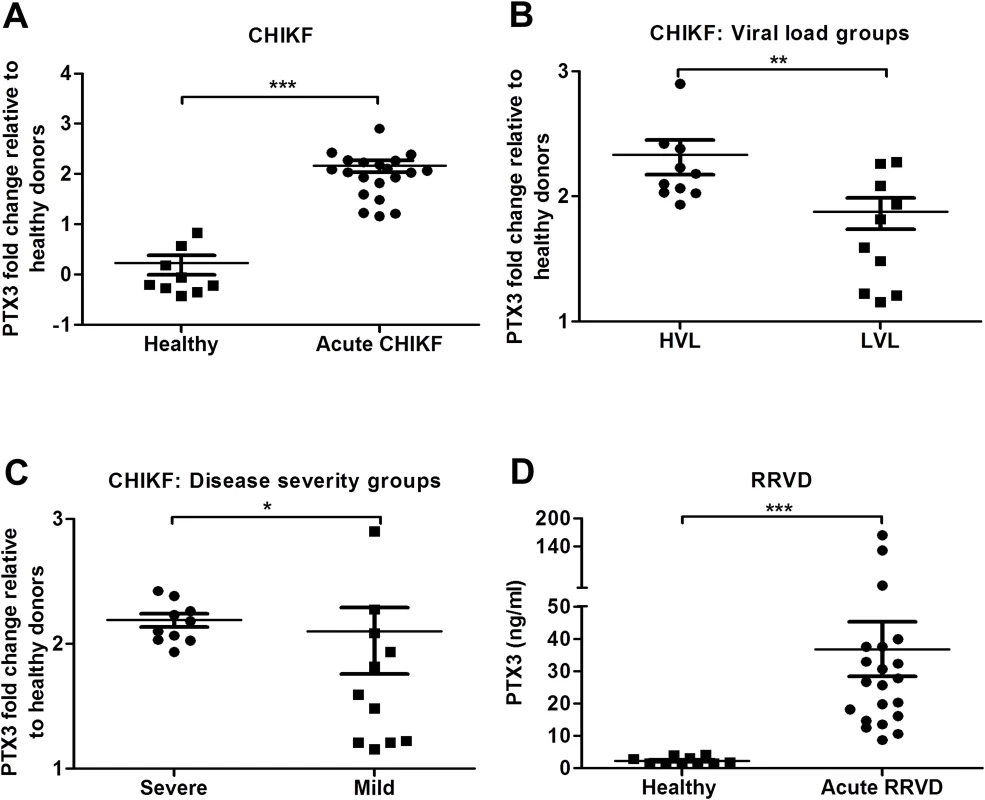 PTX3 expression is elevated in CHIKF and RRVD patients.
