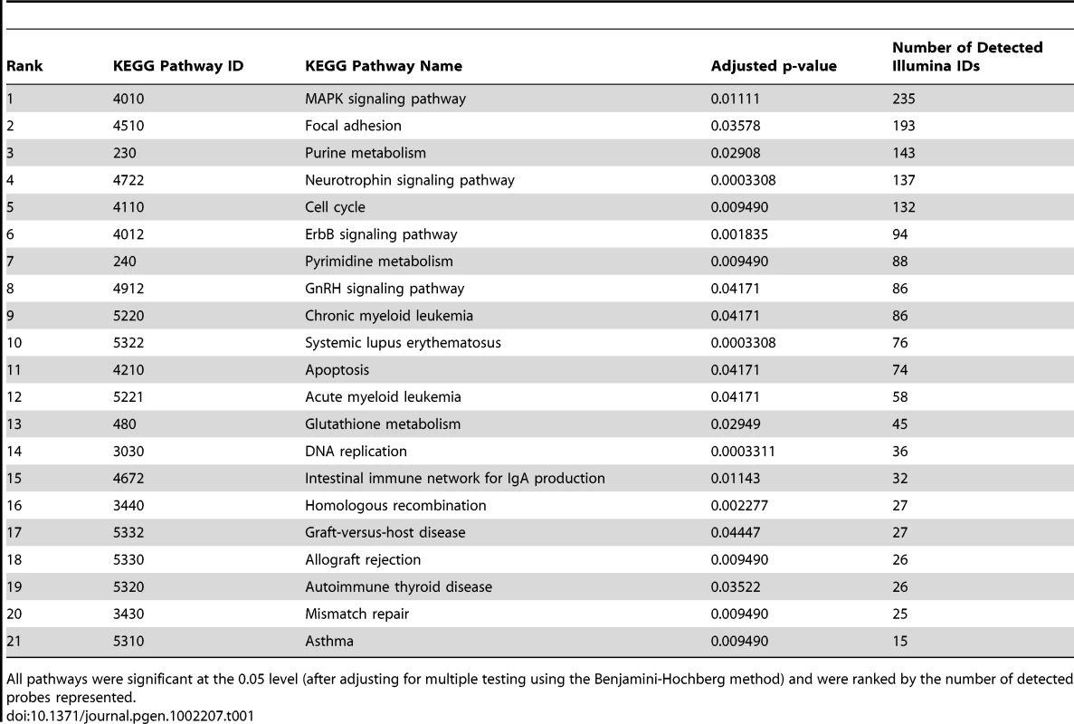 The top 21 most discriminating KEGG pathways between the neuronal stem cells obtained from the disease and healthy control donor groups.