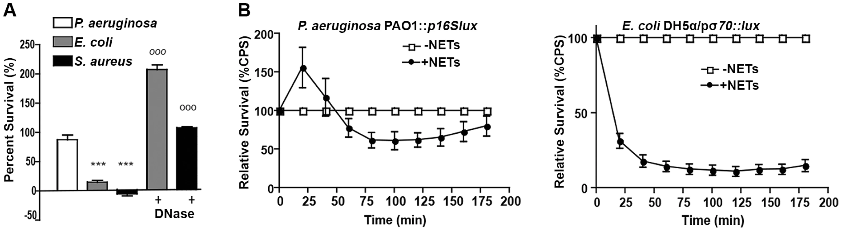 <i>P. aeruginosa, E. coli and S. aureus</i> differ in their ability to tolerate the bactericidal effects of NETs.