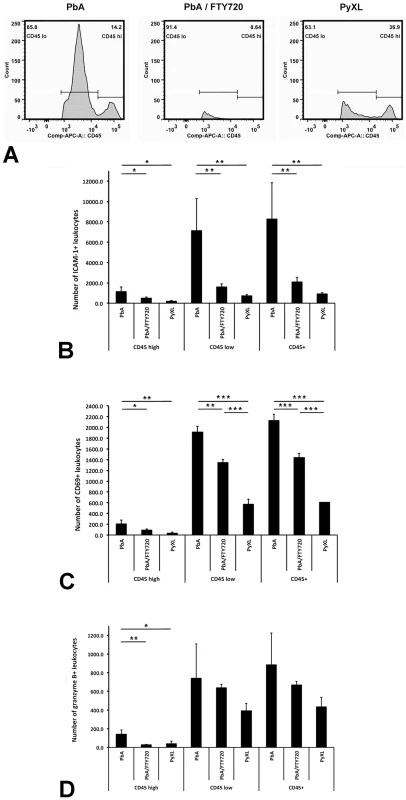 ECM is associated with brain recruitment of CD45+ leukocytes.