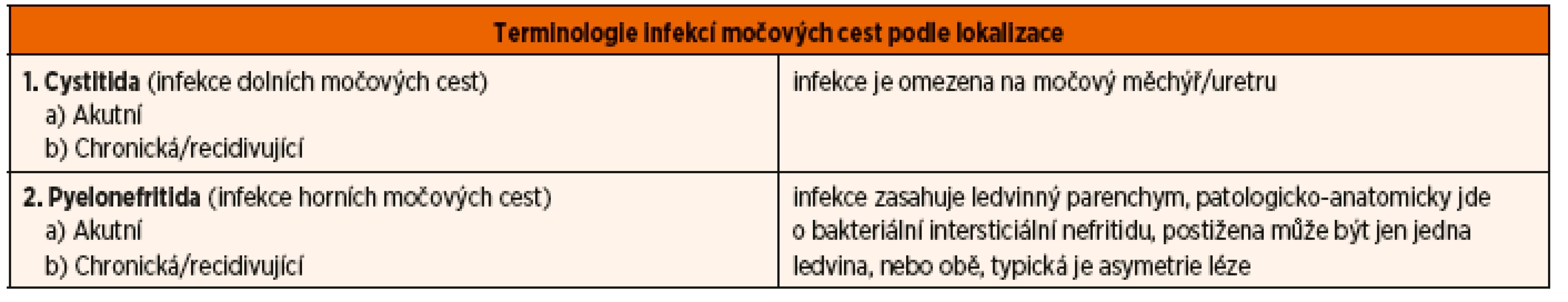 Terminologie infekcí močových cest.