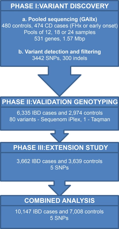Summary of strategy for detecting rare variants associated with IBD.