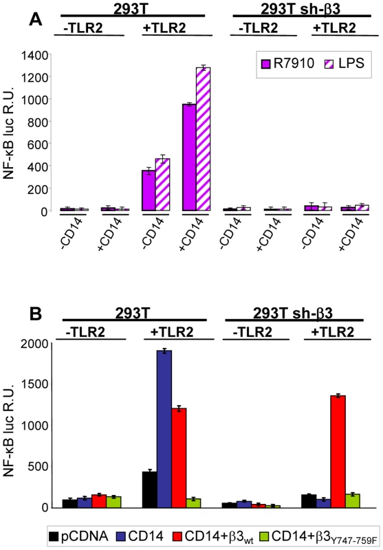 CD14 augments the NF-κB response triggered by αvβ3-integrin and TLR2.
