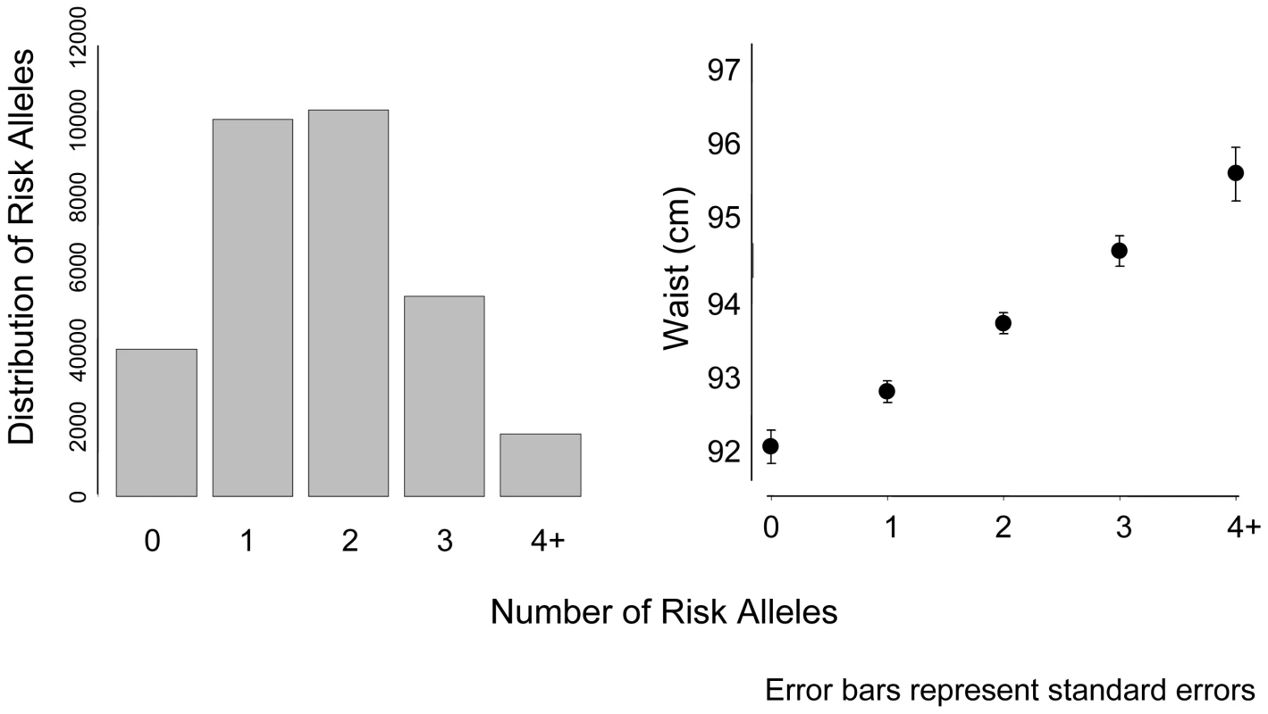 Mean waist circumference by number of risk alleles for <i>FTO</i>, <i>MC4R</i>, and <i>NRXN3</i>.